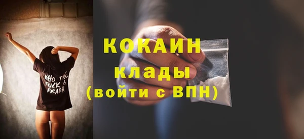 СК Горняк