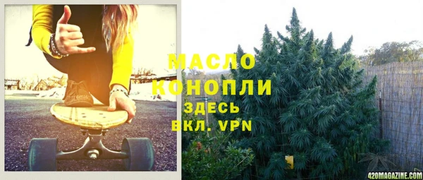 тгк Вяземский