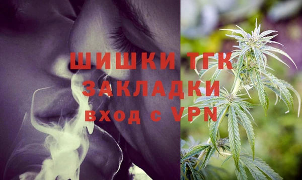 СК Горняк