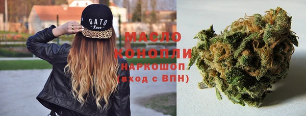 СК Горняк
