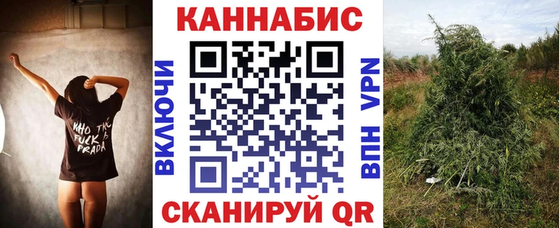 Купить закладки  Малаховка  Конопля сатива 